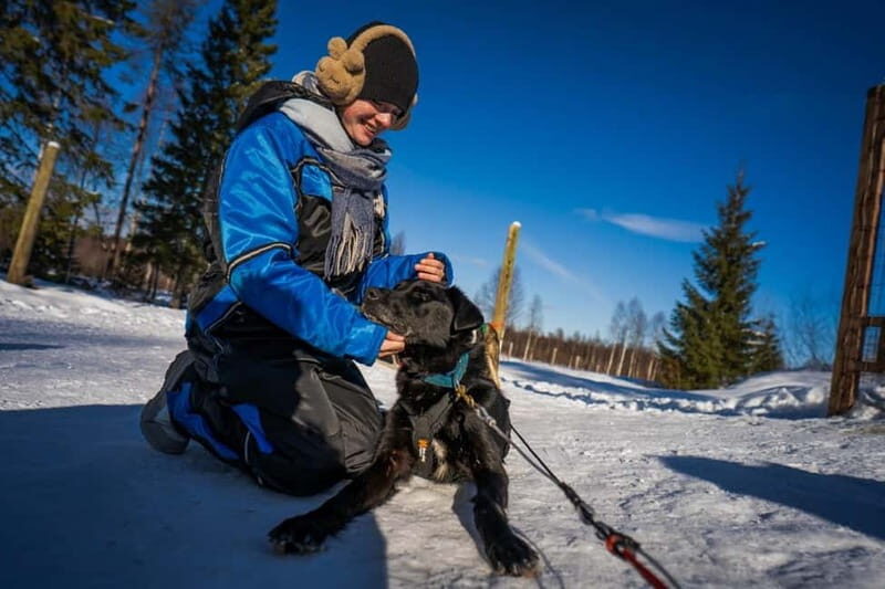 Rovaniemi: Husky Safari & Campfire BBQ  610 km SelfDrive - What the Experience Looks Like