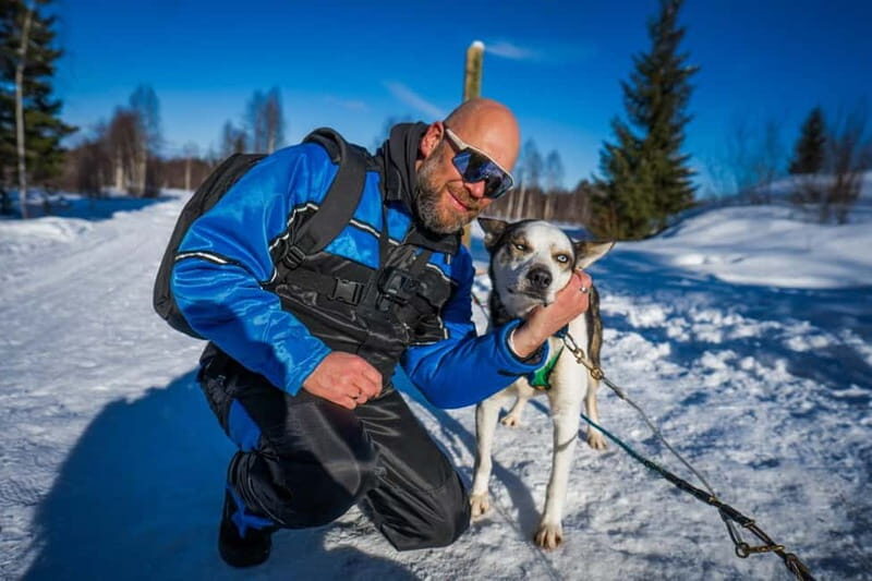 Rovaniemi: Husky Safari & Campfire BBQ  610 km SelfDrive - Who Will Love This Tour?