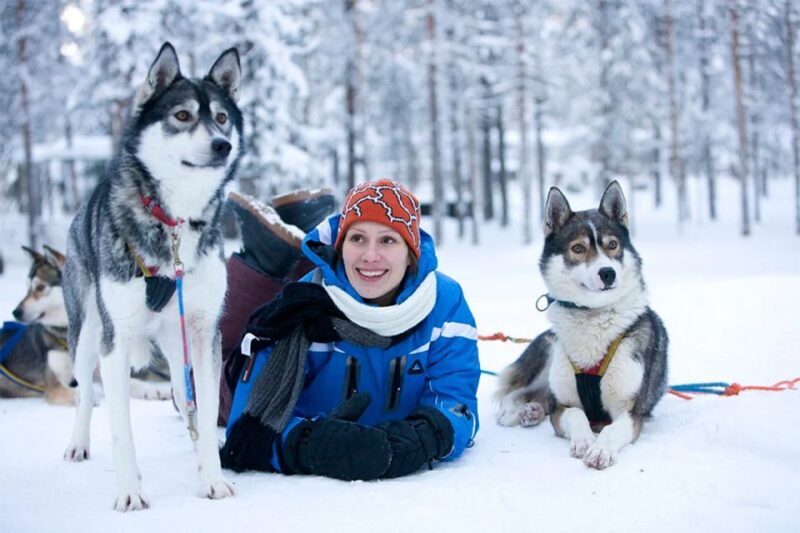 Rovaniemi: Husky Safari on a Snowy Trail - FAQs
