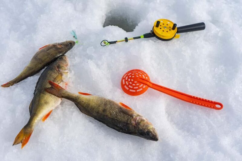 Rovaniemi: Ice Fishing, Private Sauna & Salmon Soup - Exploring the Arctic: What to Expect on the Ice Fishing, Sauna & Salmon Soup Tour