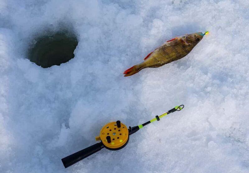 Rovaniemi: Ice Fishing, Private Sauna & Salmon Soup - FAQ