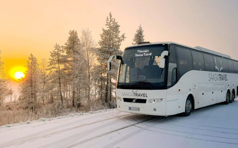 Rovaniemi: Insider Northern Lights Bus with Drinks & Snacks - The Experience in Detail