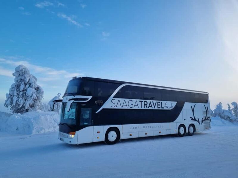 Rovaniemi: Insider Northern Lights Bus with Drinks & Snacks - FAQ