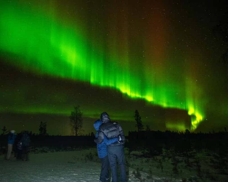 Rovaniemi: Insider Northern Lights Tour with Photos - An Authentic Arctic Experience: What to Expect