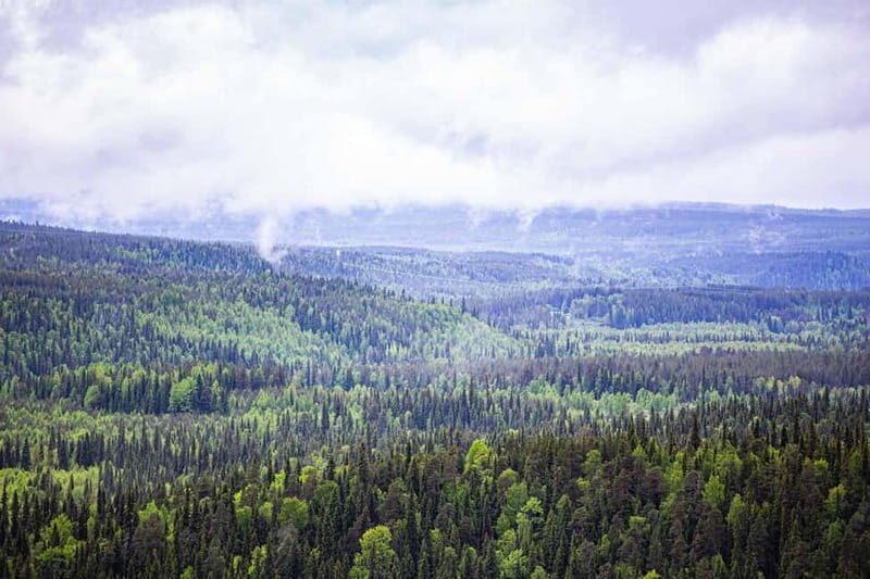 Rovaniemi: Korouoma Canyon and Auttiköngäs Falls Tour - Quick snapshot of the experience