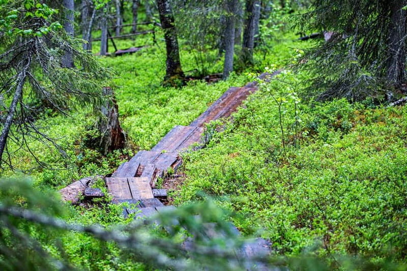 Rovaniemi: Korouoma Canyon and Auttiköngäs Falls Tour - Key Points