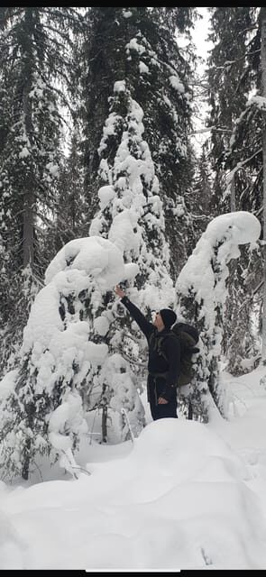 Rovaniemi: Korouoma Canyon Frozen Waterfalls Day Trip - Rovaniemi: Korouoma Canyon Frozen Waterfalls Day Trip – A Guide to Arctic Ice Magic