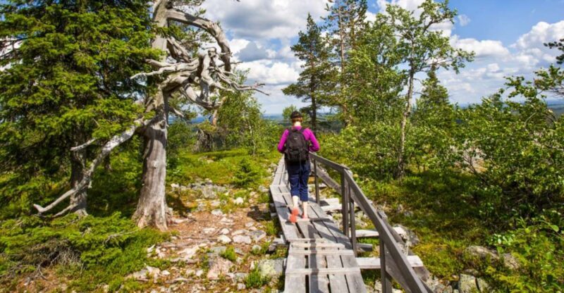 Rovaniemi: Korouoma Canyon Hike and Barbecue Experience - A Deep Dive into the Korouoma Canyon Hike and Barbecue Experience