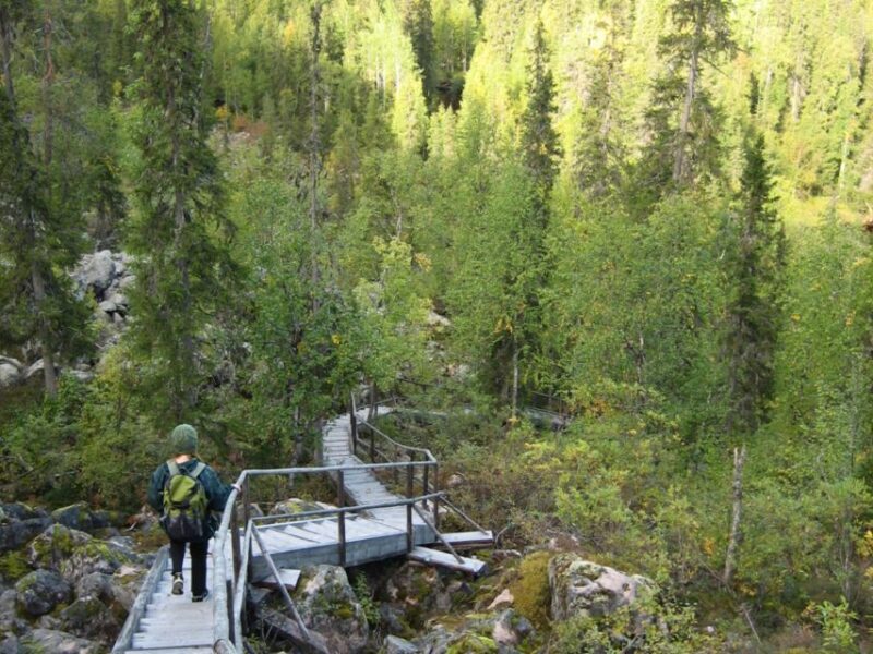 Rovaniemi: Korouoma Canyon Hike and Barbecue Experience - Final thoughts: Is it worth it?