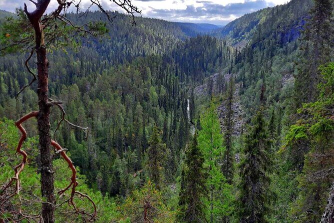 Rovaniemi: Korouoma Canyon Hike and Barbecue Experience - Rovaniemi: Korouoma Canyon Hike and Barbecue Experience