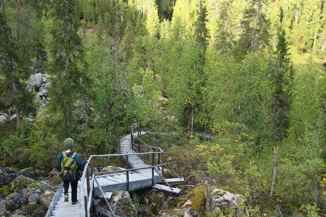 Rovaniemi: Korouoma Canyon Hike and Barbecue Experience - Key Points