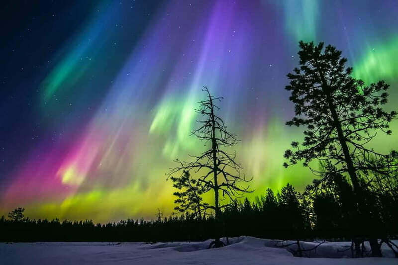 Rovaniemi: Lakeside Private Sauna with Aurora Borealis - Rovaniemi: Lakeside Private Sauna with Aurora Borealis — A Genuine Arctic Escape