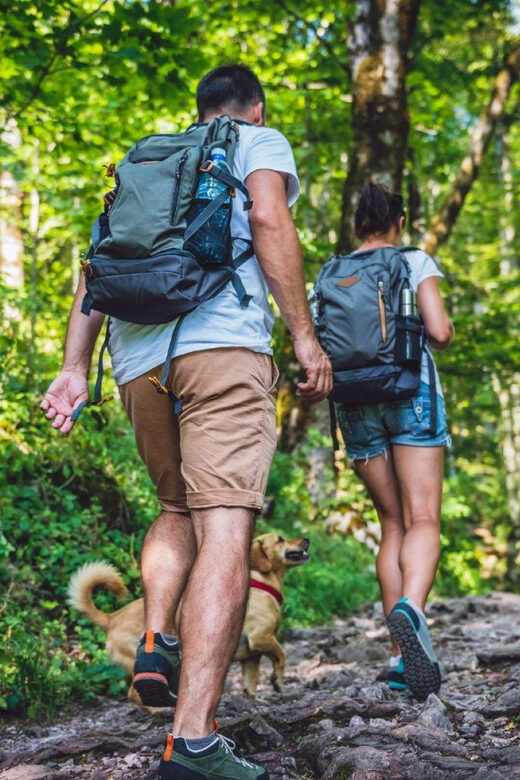 Rovaniemi: Magical Forest Hiking Adventure Tour & BBQ - FAQ