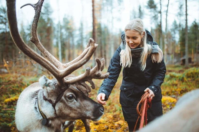Rovaniemi: Meet Santa Claus and His Friends - Key Points