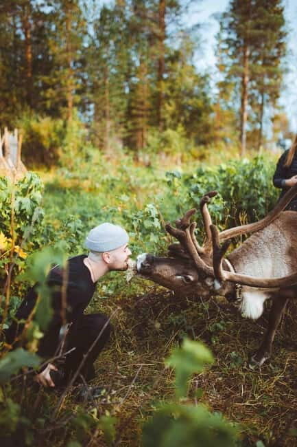 Rovaniemi: Meet Santa Claus and His Friends - Who Will Love This Experience?