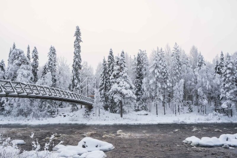 Rovaniemi: Nordic Forest Wilderness Adventure - Final Thoughts