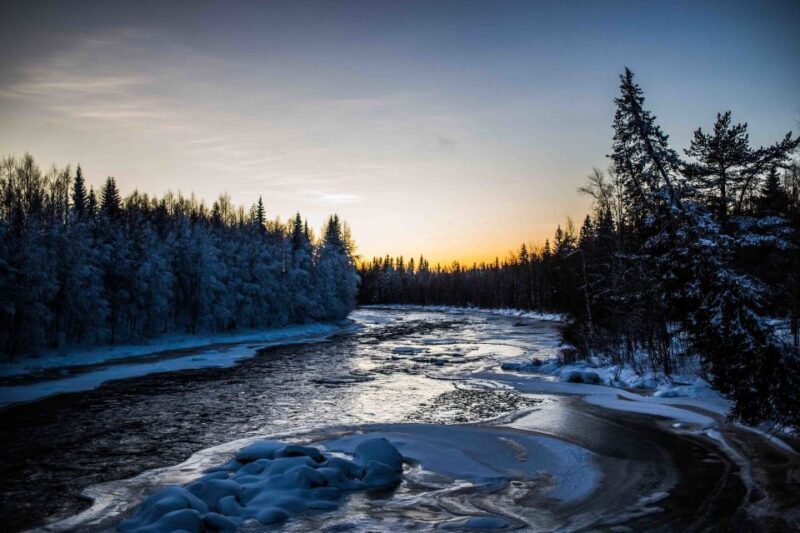 Rovaniemi: Nordic Forest Wilderness Adventure - FAQ