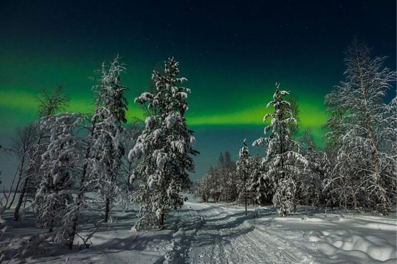 Rovaniemi: Northern Lights and Husky Sleigh Ride - A Practical Look at the Rovaniemi Husky and Aurora Tour
