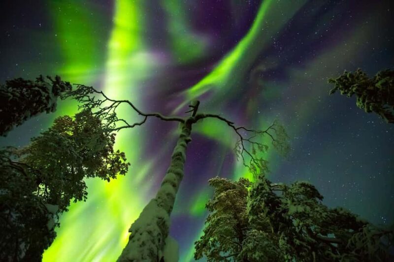 Rovaniemi: Northern Lights Hunt & Photography Experience - Rovaniemi: Northern Lights Hunt & Photography Experience — A Deep Dive
