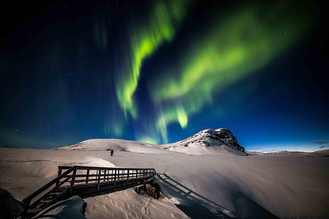 Rovaniemi Northern Lights Photography Small-Group Tour - Who Will Love This Tour?