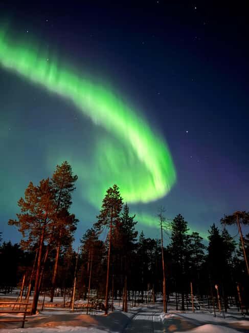 Rovaniemi: Northern Lights & Reindeer Experience - Rovaniemi: Northern Lights & Reindeer Experience — A Genuine Arctic Adventure