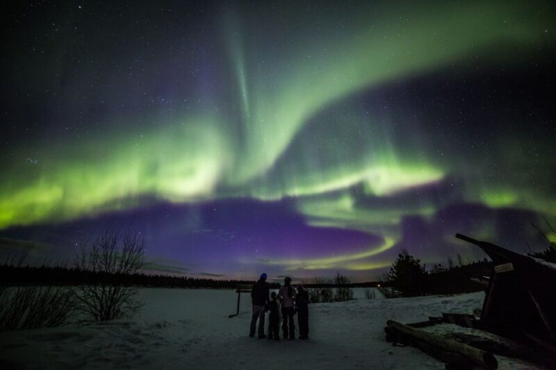 Rovaniemi: Northern Lights Sledge Ride - The Value of This Tour