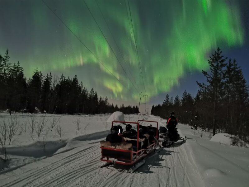 Rovaniemi: Northern Lights Sledge Ride - Who Should Consider This Tour?