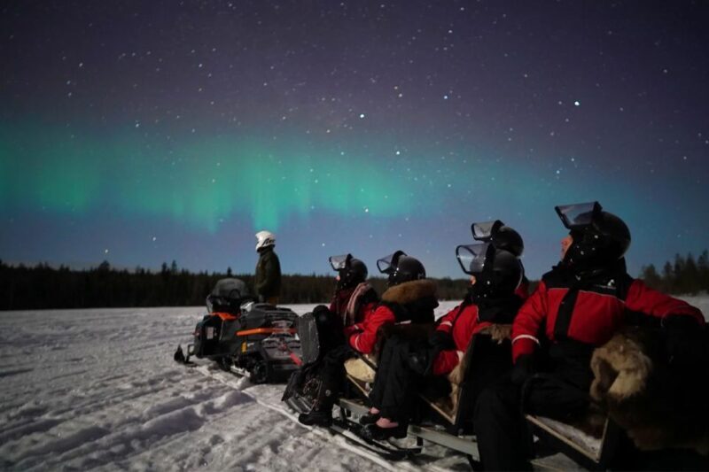 Rovaniemi: Northern Lights Sleigh Ride - Transportation, Group Size, and Timing