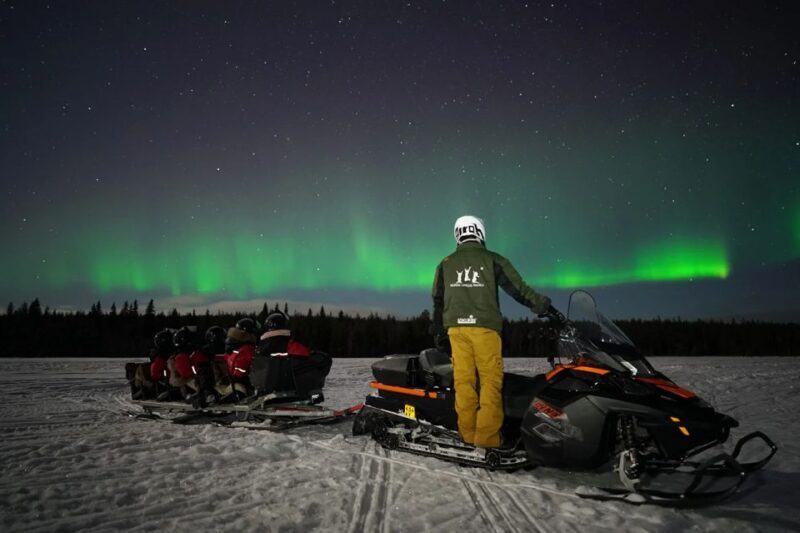 Rovaniemi: Northern Lights Sleigh Ride - Final Thoughts