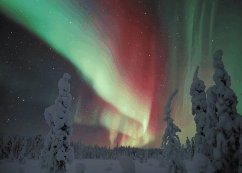 Rovaniemi: Northern Lights Snowmobile Safari with Campfire - FAQ – Practical Questions About the Snowmobile Safari