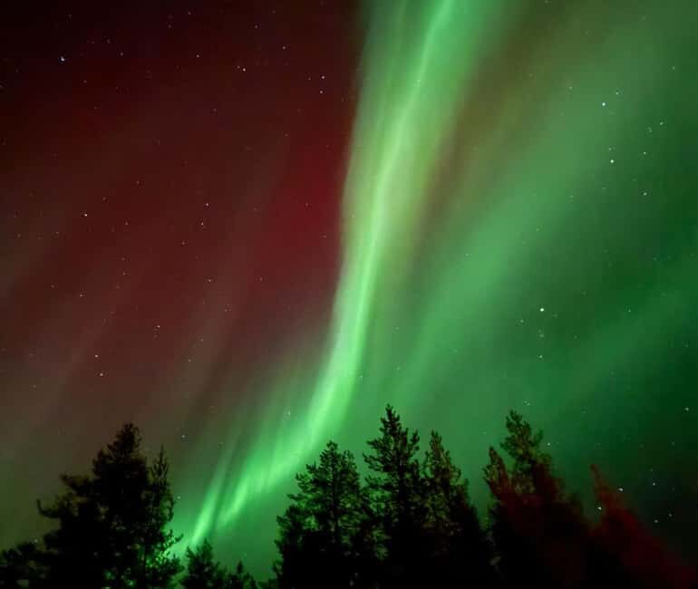 Rovaniemi: Northern Lights Tour - Aurora Viewing Guaranteed - Frequently Asked Questions
