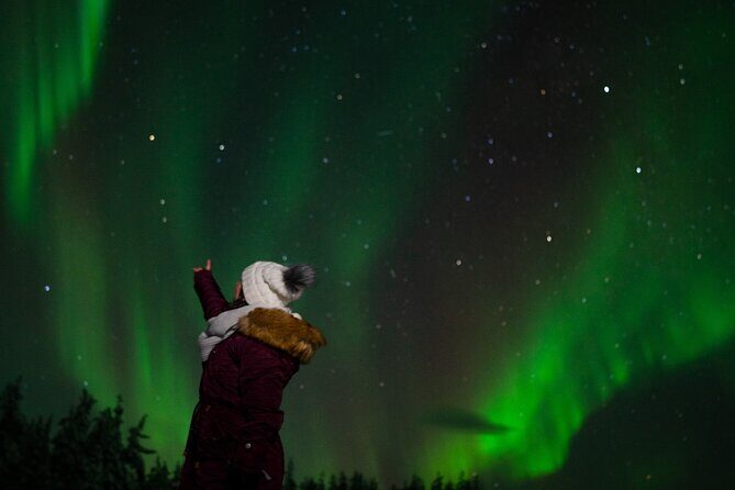 Rovaniemi: Northern Lights Tour - A Deep Dive into the Northern Lights Experience