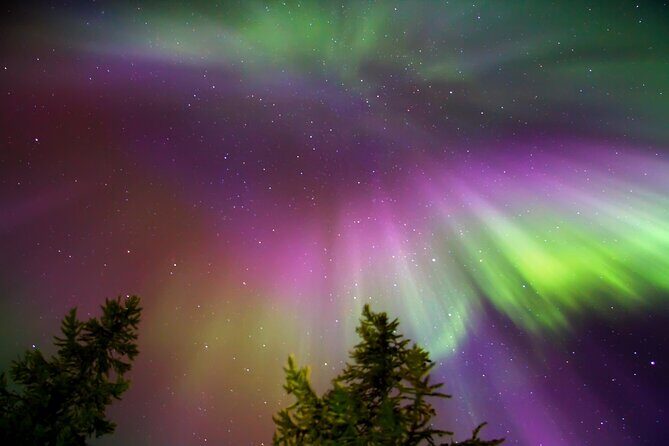 Rovaniemi: Northern Lights Tour - Frequently Asked Questions