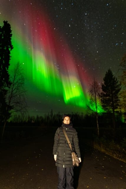 Rovaniemi: Northern Lights Tour with Guarantee - Who Would Love This Tour?