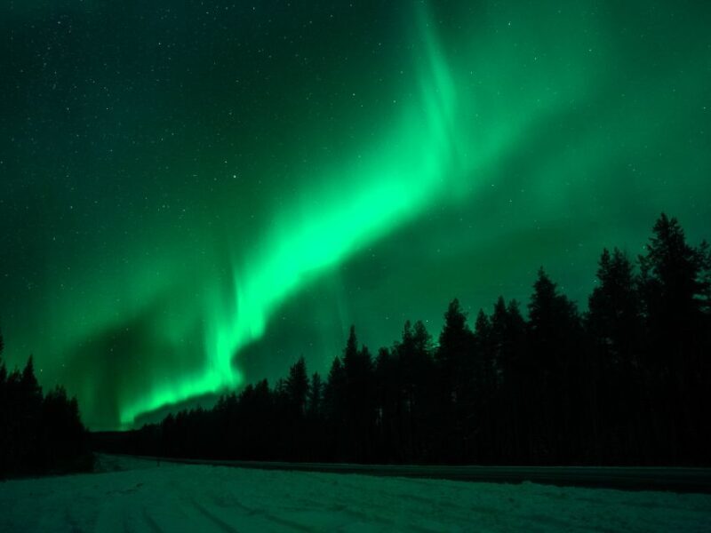Rovaniemi: Northern Lights Tour with Guaranteed Sightings - Key Points