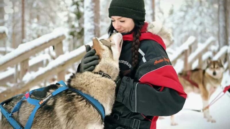 Rovaniemi: One Hour Husky Adventure - FAQ