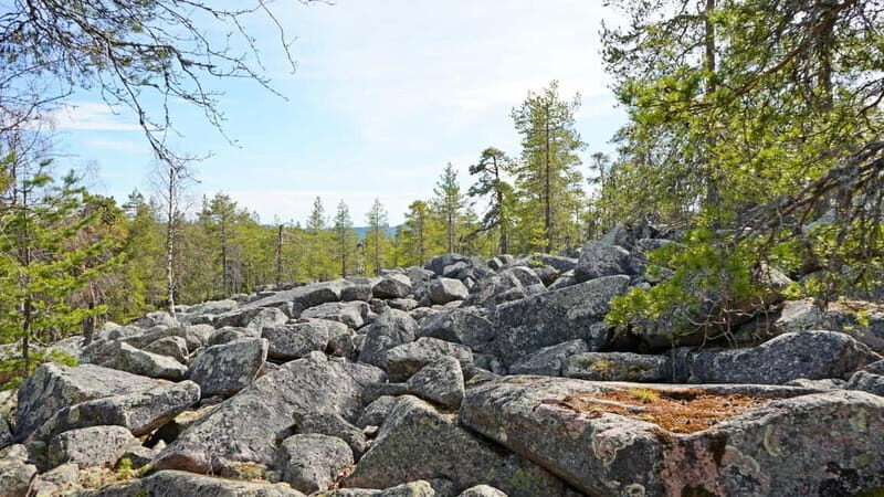 Rovaniemi: Övertorneå and Aavasaksa Hill. History and Nature - Who Would Enjoy This Tour?