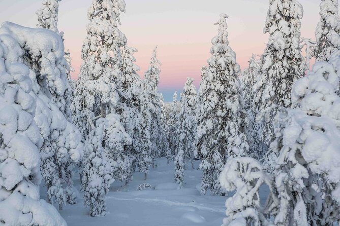 Rovaniemi photography tour - Who Should Consider This Tour?