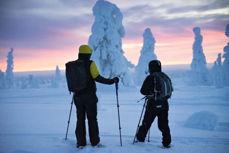 Rovaniemi: Private 3h Snowshoeing hike - Exploring the Wilderness on Snowshoes: A Genuine Arctic Experience