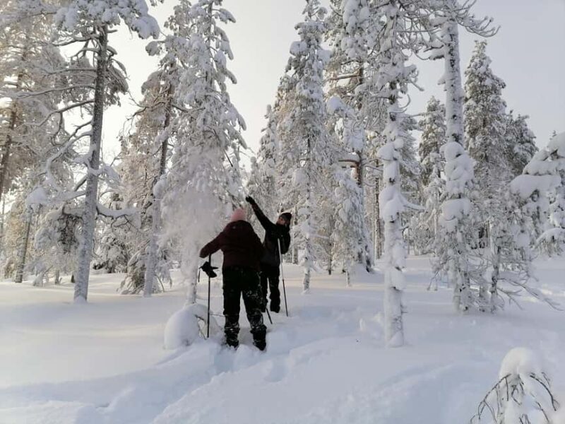 Rovaniemi: Private 3h Snowshoeing hike - Detailed Itinerary Breakdown