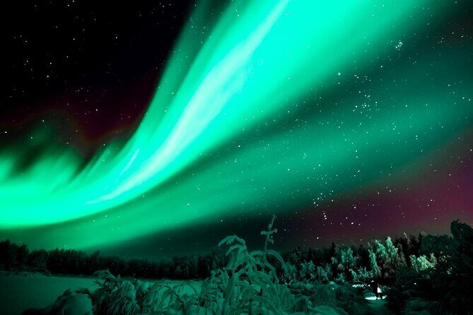 Rovaniemi: Private Aurora Tour with Guaranteed Sightings - An In-Depth Look at the Aurora Experience in Rovaniemi