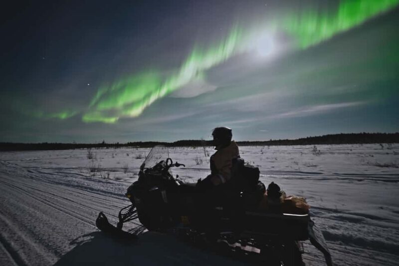 Rovaniemi: Private Snowmobile Trip With Local Guide - Exploring Lapland on a Snowmobile: An In-Depth Review