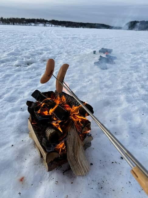 Rovaniemi: Private Snowmobile Trip With Local Guide - FAQ