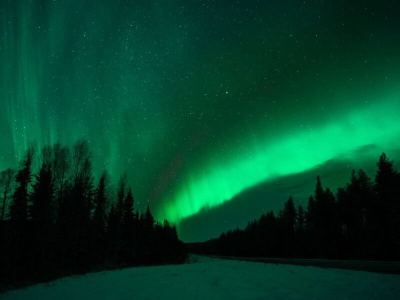 Rovaniemi: Private Tour with Guaranteed Northern Lights - Key Points