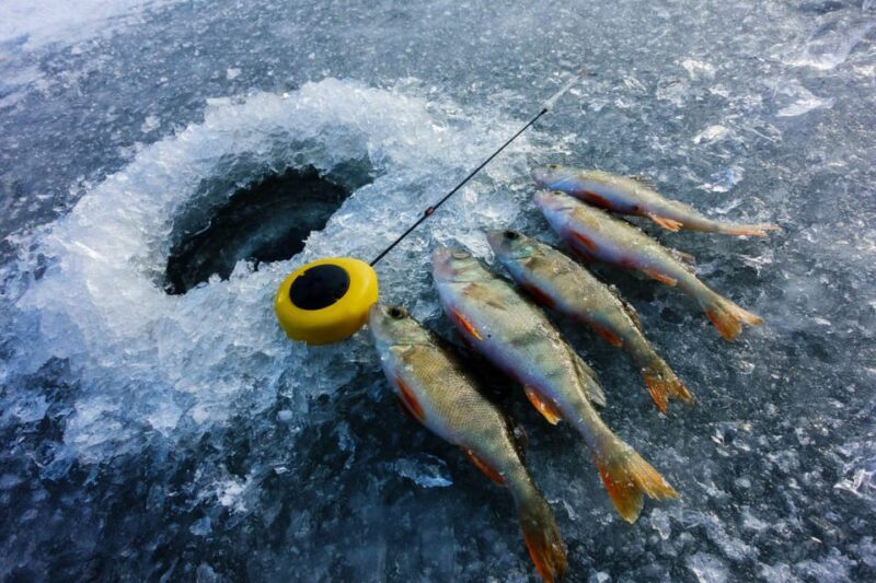 Rovaniemi: Quad Bike Ride and Ice Fishing - Final Thoughts: Who Should Consider This Tour?