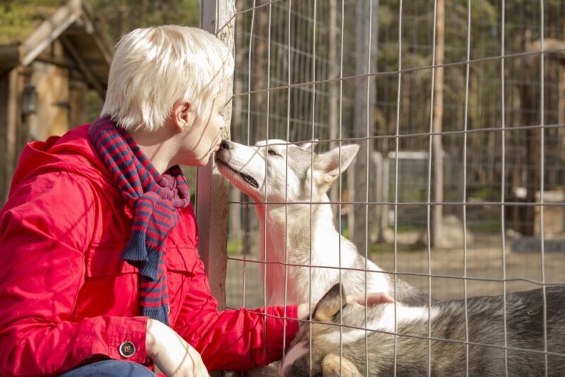 Rovaniemi: Quad Bike Safari, Reindeer & Husky Farm Visit - Who Should Consider This Tour?