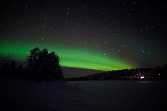 Rovaniemi RealNorthern Lights Photo Hunting - Is This Tour Right for You?