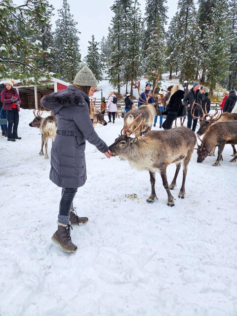 Rovaniemi: Reindeer Farm Visit and Sleigh Ride with transfer - In-Depth Review of the Reindeer Farm and Sleigh Ride Experience