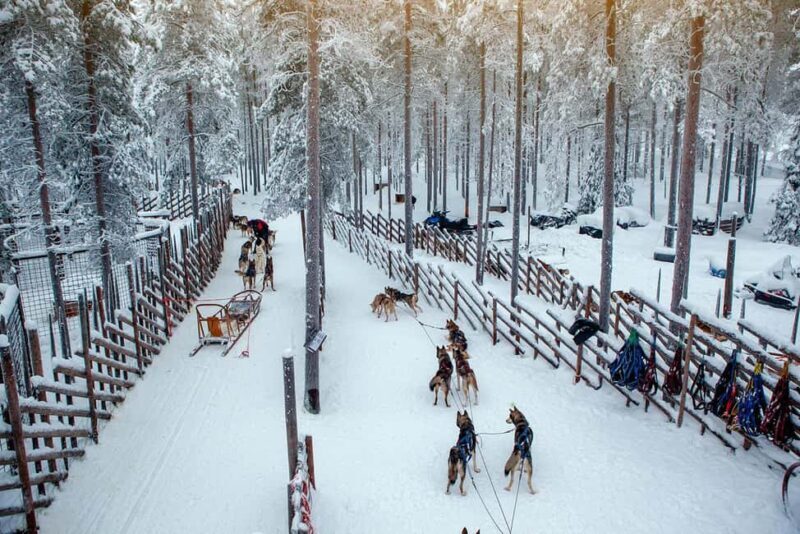 Rovaniemi: Reindeer & Husky Ride with Santa Claus Village - Why This Tour Offers Great Value