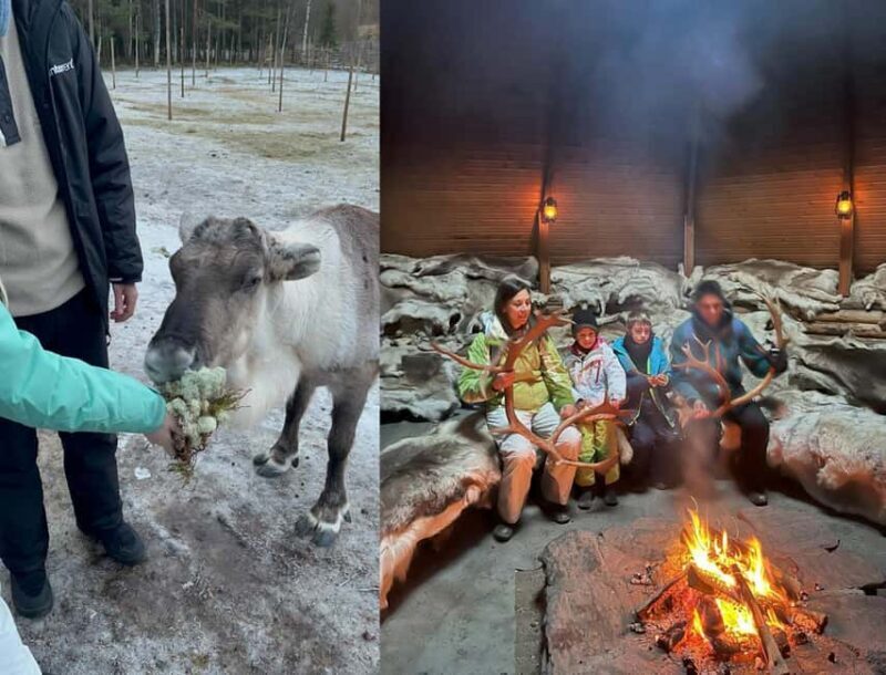 Rovaniemi: Reindeer & Husky Safari with Lunch - Key Points
